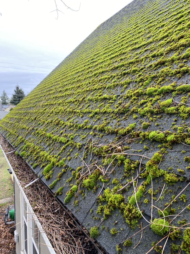 Photo of Spartan Windows & Gutters