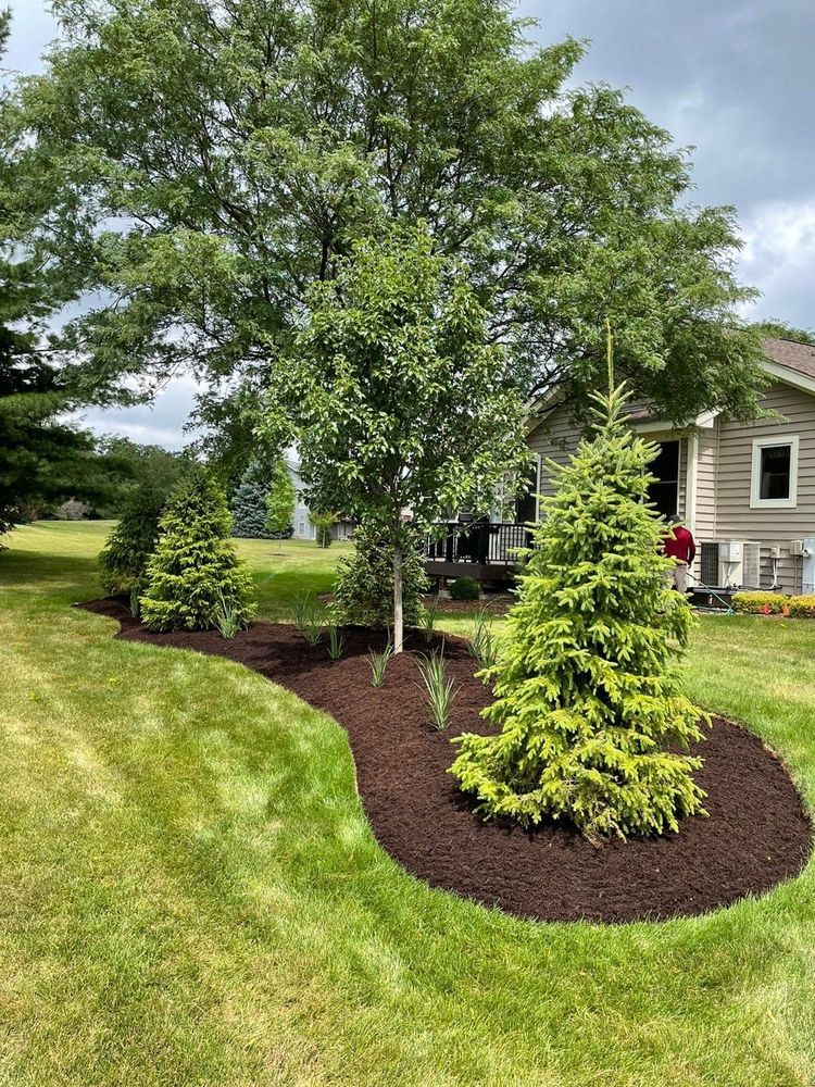 Photo of Maya Lawn Landscaping