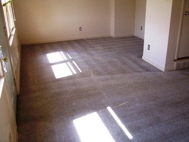 Photo of Eco-Pure Carpet Cleaning