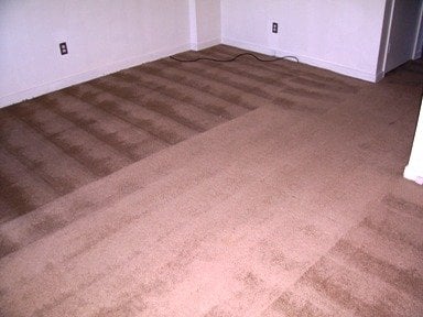 Photo of Eco-Pure Carpet Cleaning