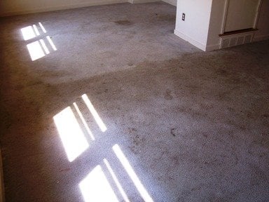 Photo of Eco-Pure Carpet Cleaning