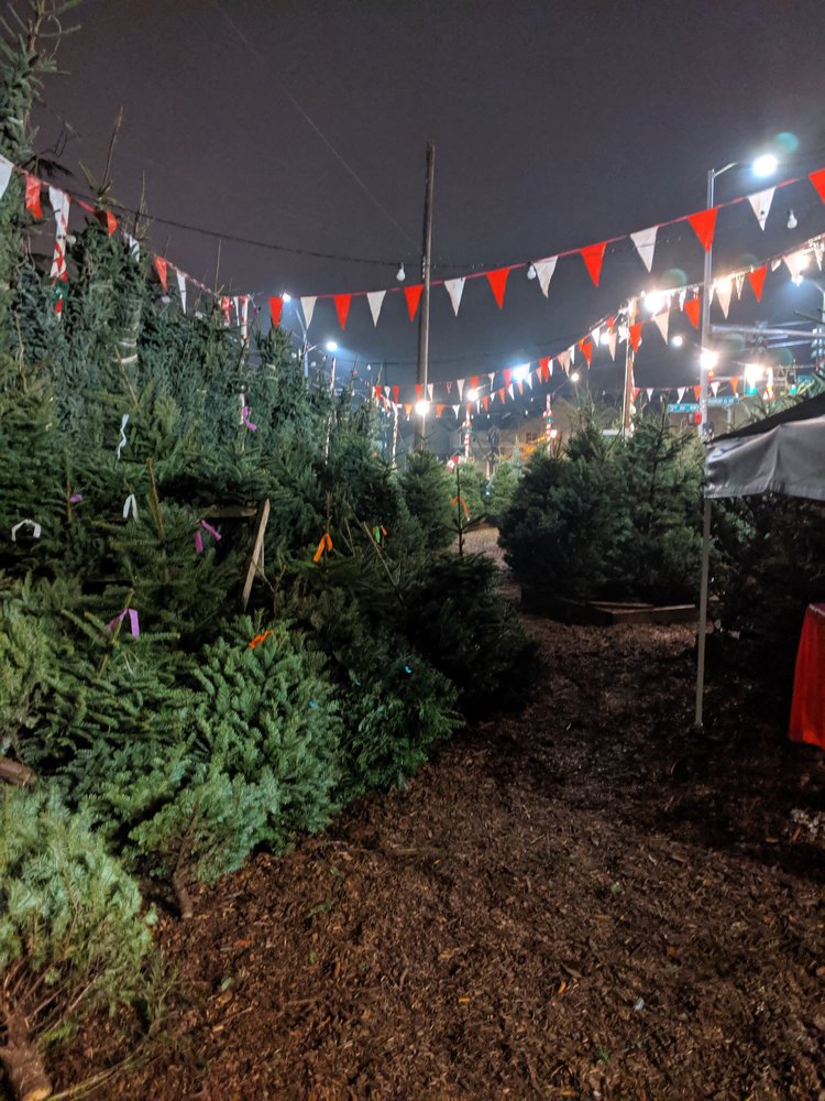 Photo of Magnolia Lawn & Garden Service