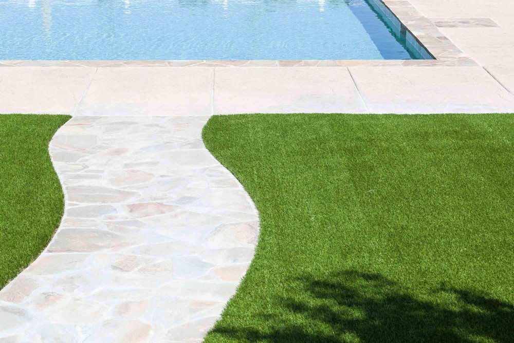 Photo of Turbo Turf