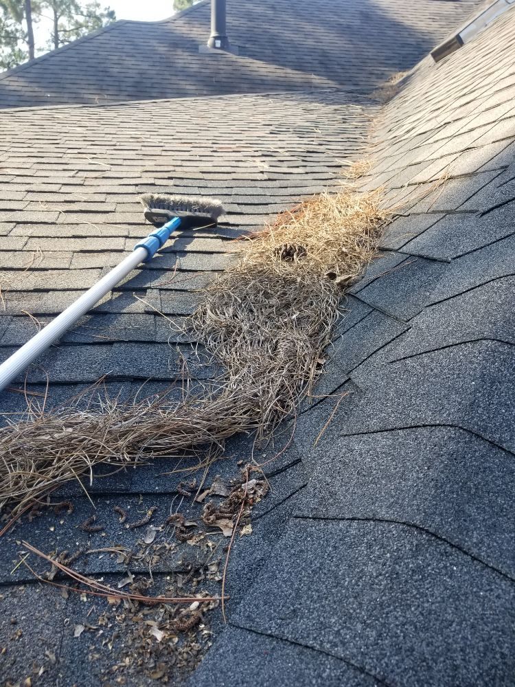 Photo of Sani-Green Cleaning
