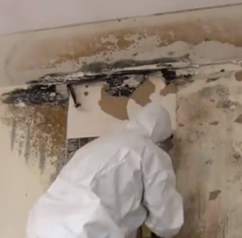 Photo of Restoration Pros