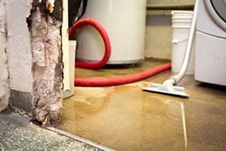 Photo of Restoration Pros
