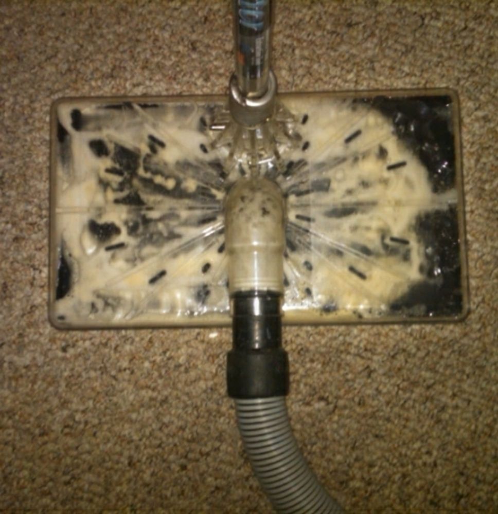Photo of KC Carpet cleaner