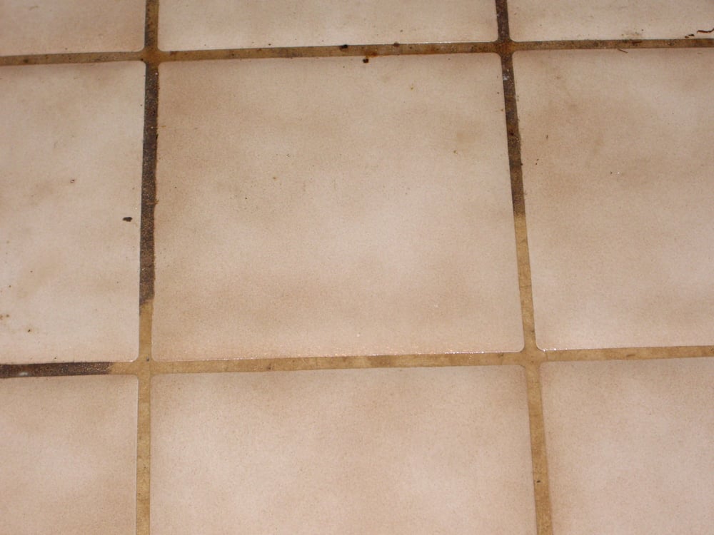 Photo of NF Carpet Care