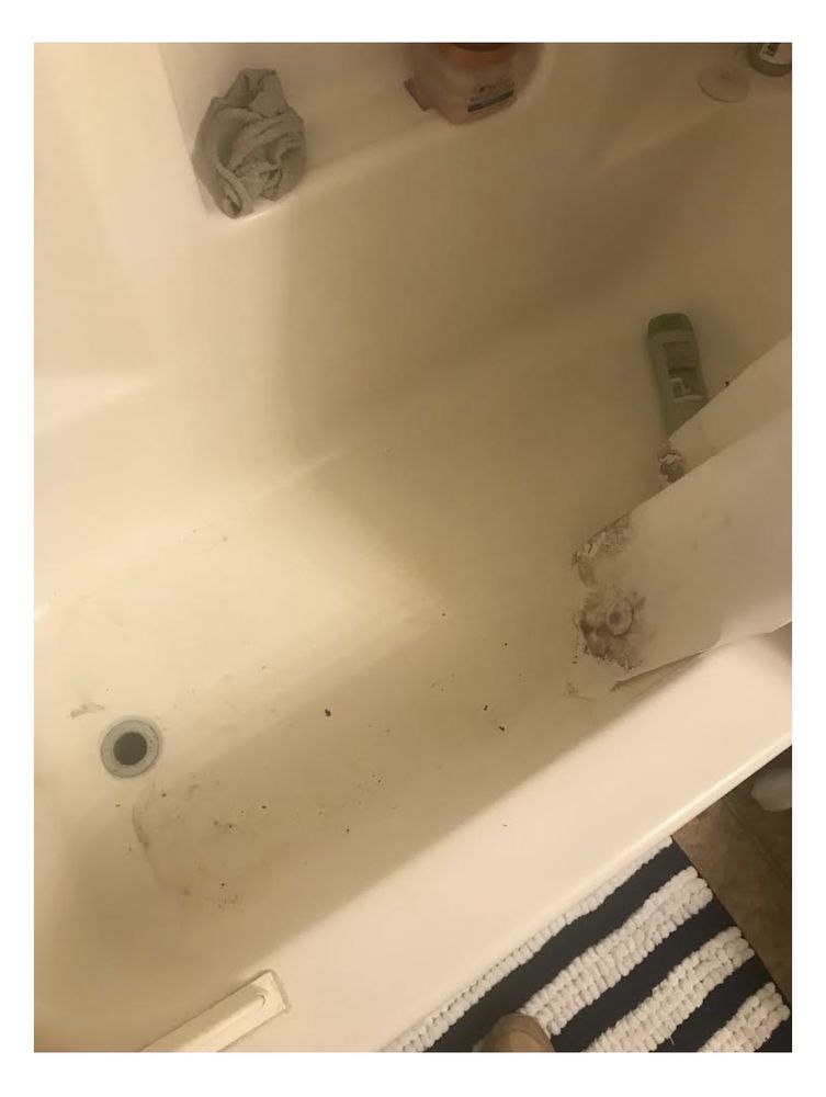 Photo of Readymaid Cleanings