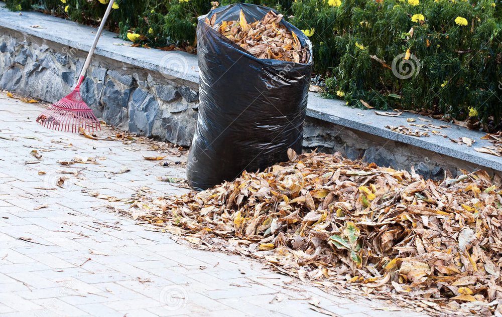 Photo of MRO Landscaping