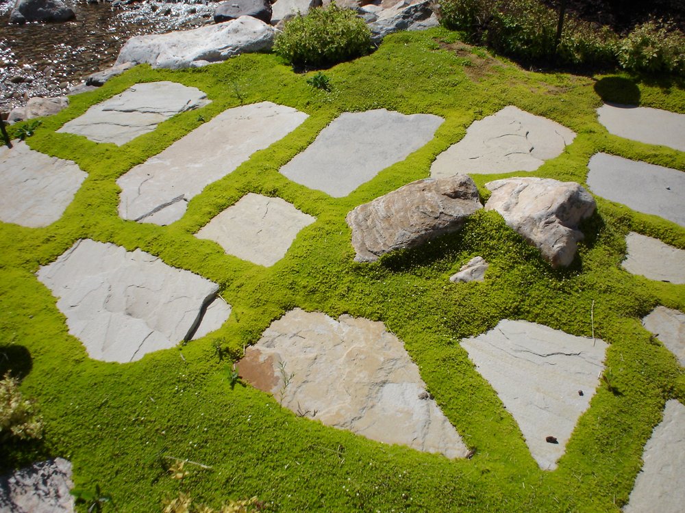Photo of Pebble Creek Design
