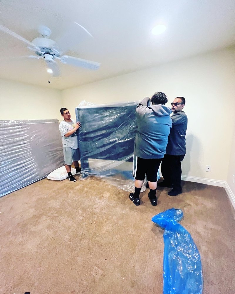Photo of Moving Bears