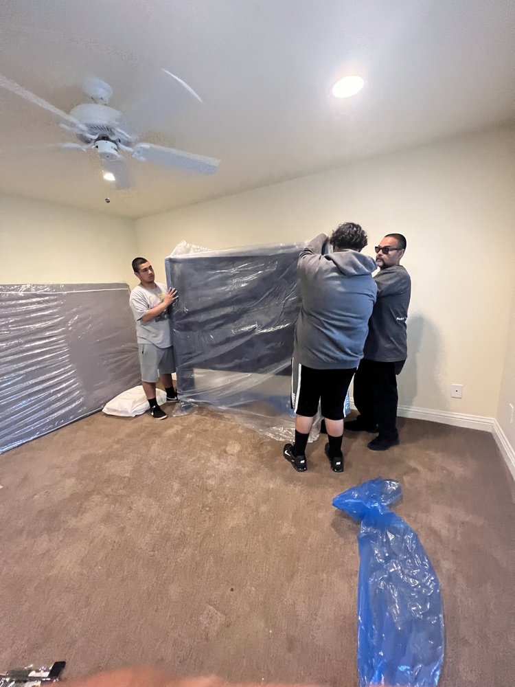 Photo of Moving Bears