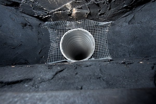 Photo of Golden Gate Chimney