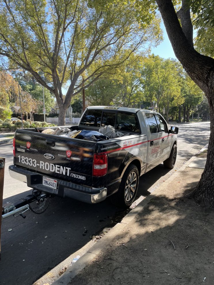 Photo of Rodent Control