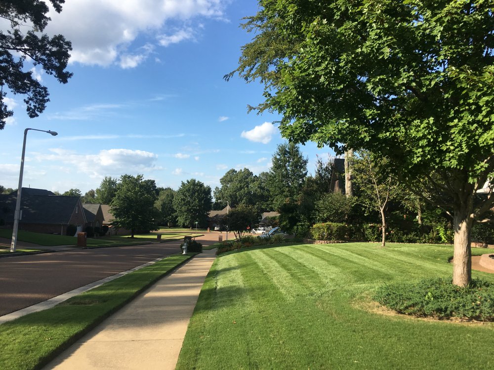 Photo of Sky's Lawn and Landscape