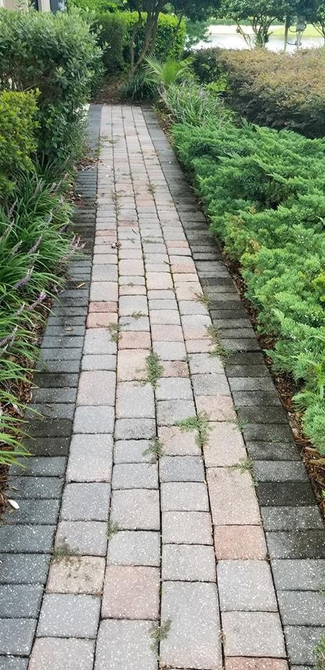Photo of Dennys Pressure Washing