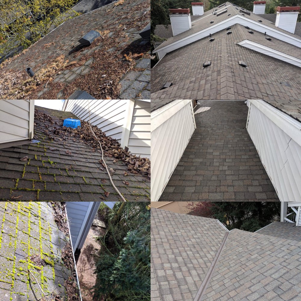 Photo of Polen Property Services