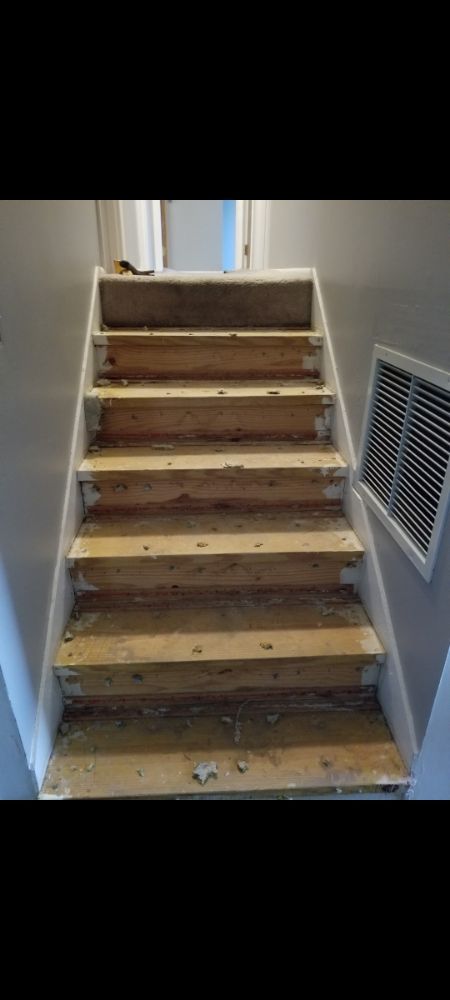 Photo of Ãscar Hardwood Flooring