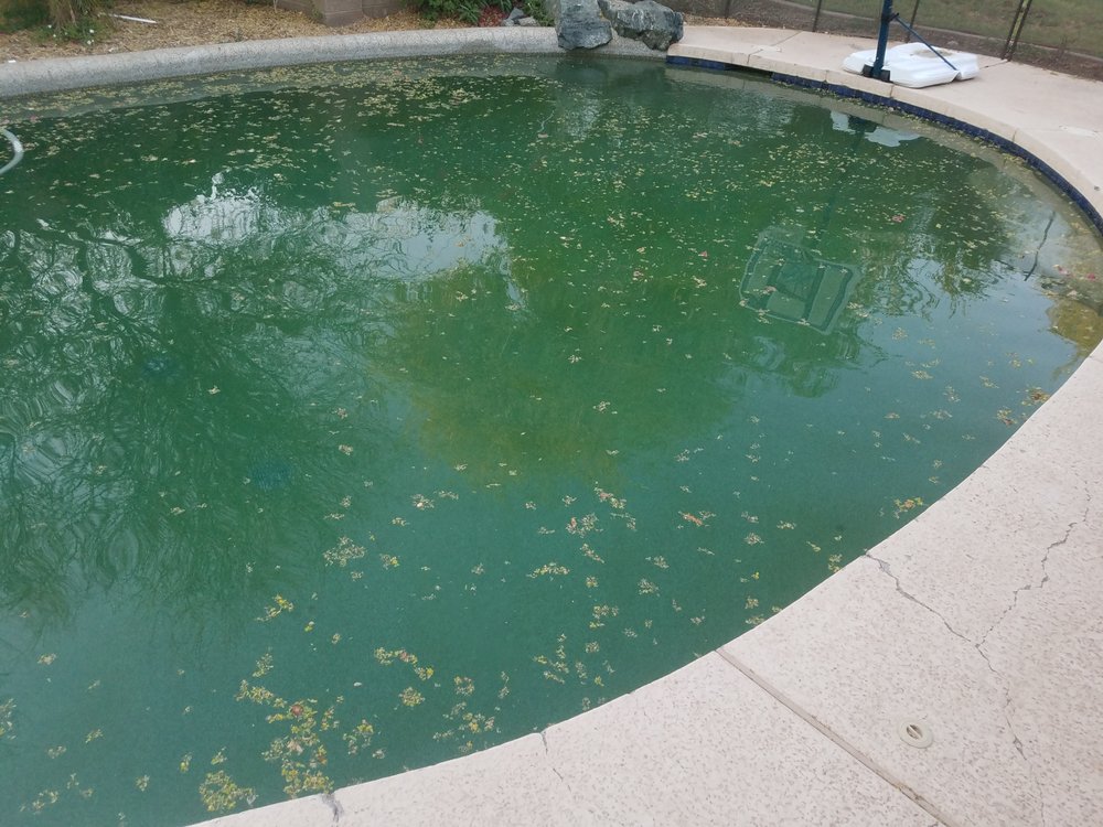 Photo of Platinum Pool Care