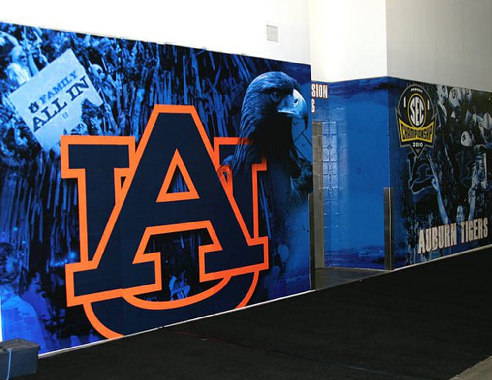 Photo of CSE Graphics