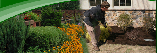 Photo of Anoka Ramsey Farm and Garden