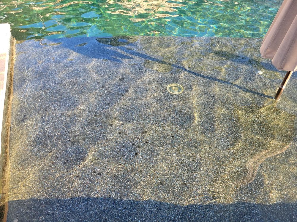 Photo of Sunray Pool Service