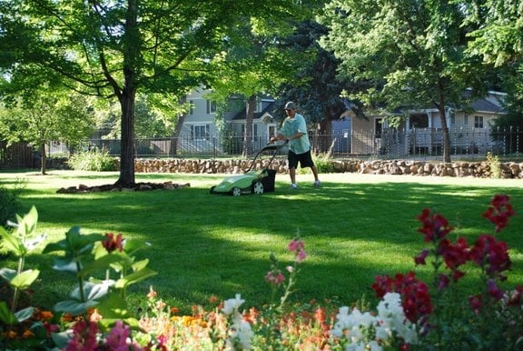Photo of Clean Air Lawn Care