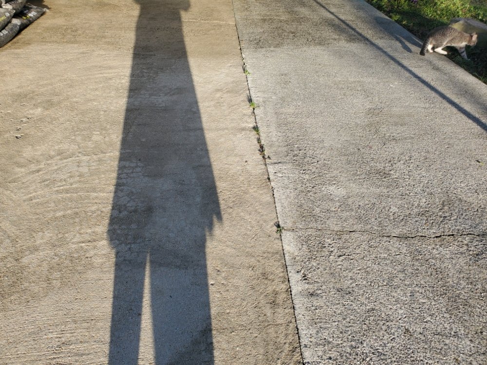 Photo of Pristine Pressure Washing