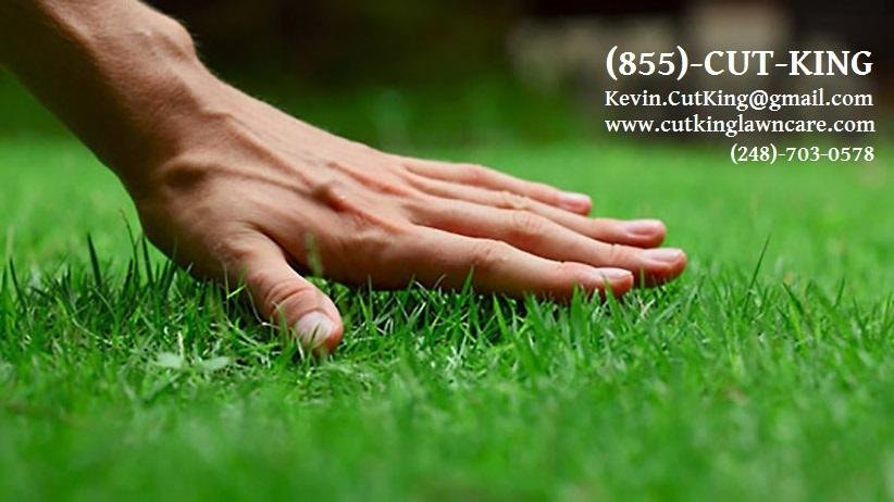 Photo of Cut King Lawn Care