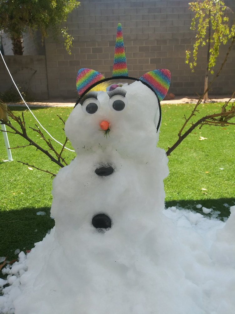Photo of The Vegas Iceman
