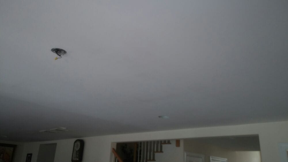Photo of TLC Home Services