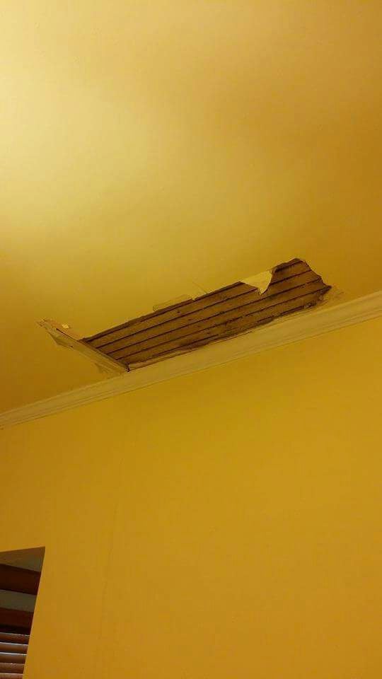 Photo of TLC Home Services