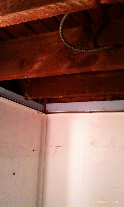 Photo of TLC Home Services