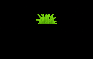 Photo of Young's Lawn Care