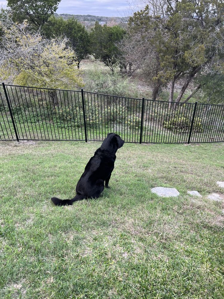 Photo of Anchor Fence