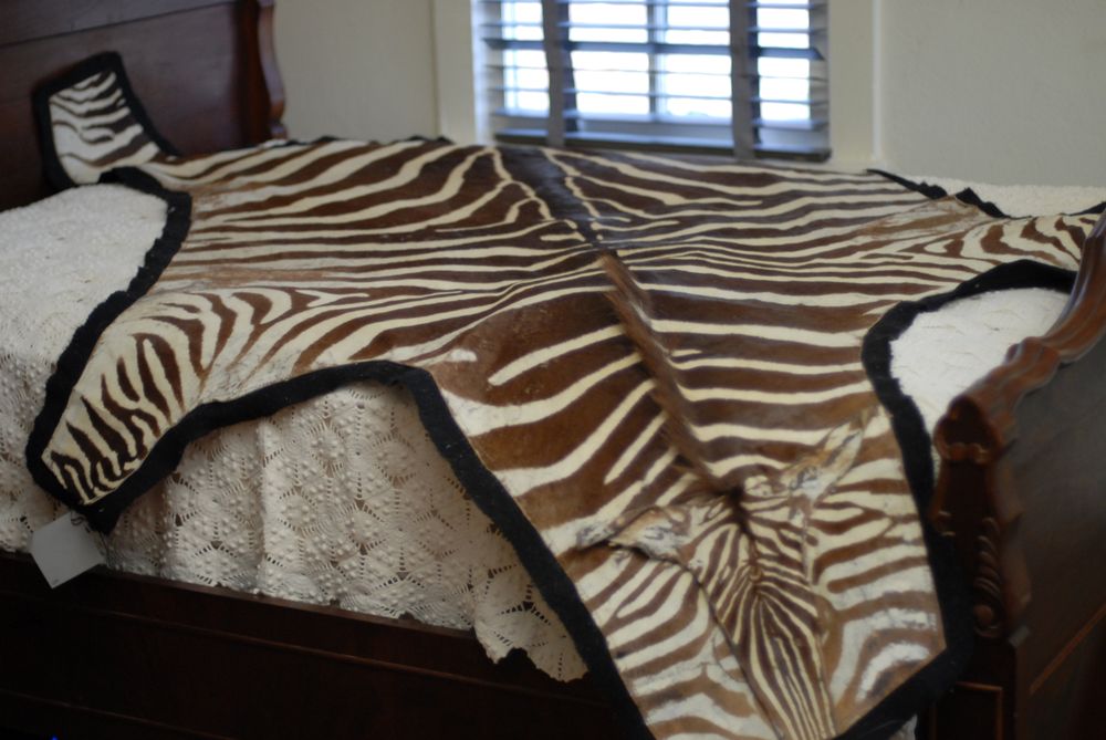 Photo of Shannon Design Enterprises