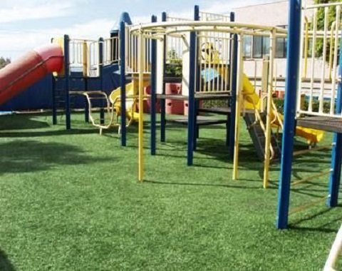 Photo of Dallas Artificial Grass Experts