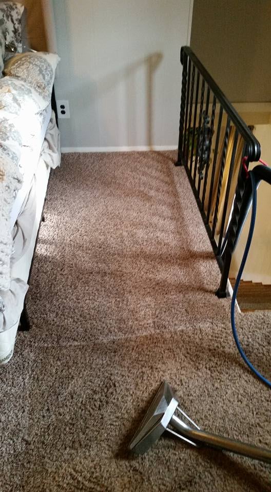 Photo of Four Seasons Carpet Cleaners