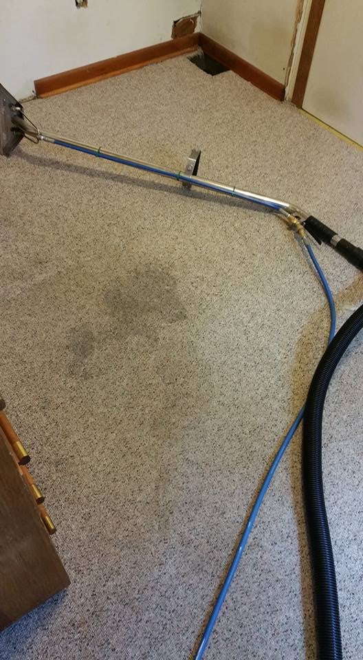 Photo of Four Seasons Carpet Cleaners