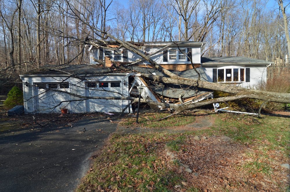 Photo of Disaster Recovery Adjusters