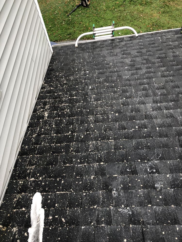 Photo of RJ's Gutter Cleaning
