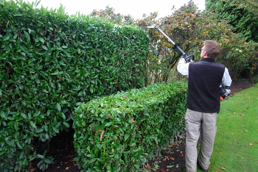 Photo of Lawn Cutter