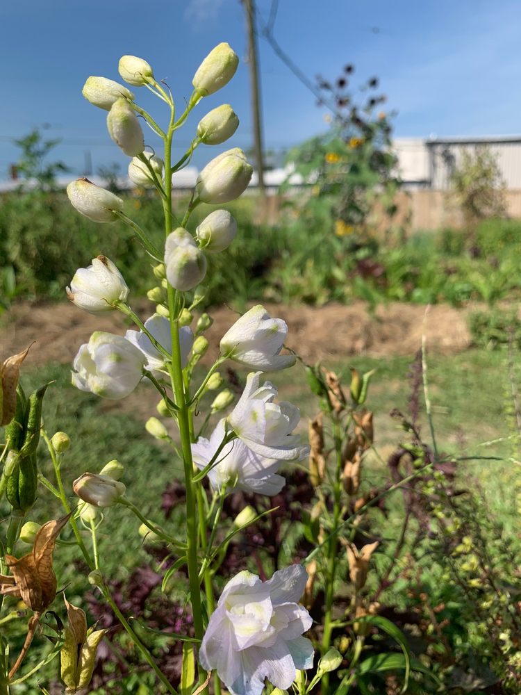 Photo of Paradigm Gardens