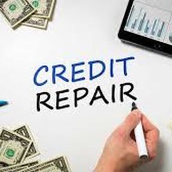 Photo of Total Credit Solutions