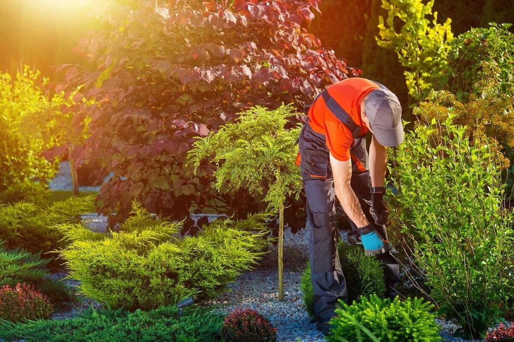 Photo of R&J's Landscaping