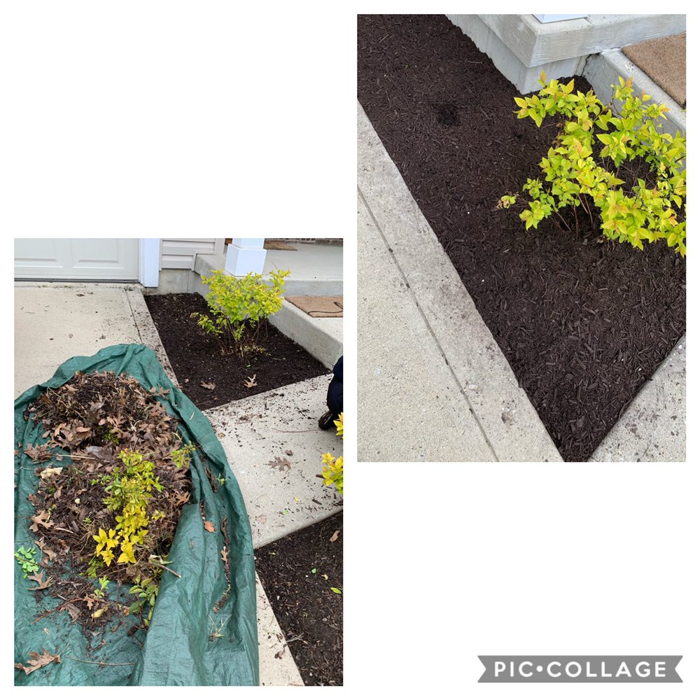 Photo of WL Landscaping & Cleaning
