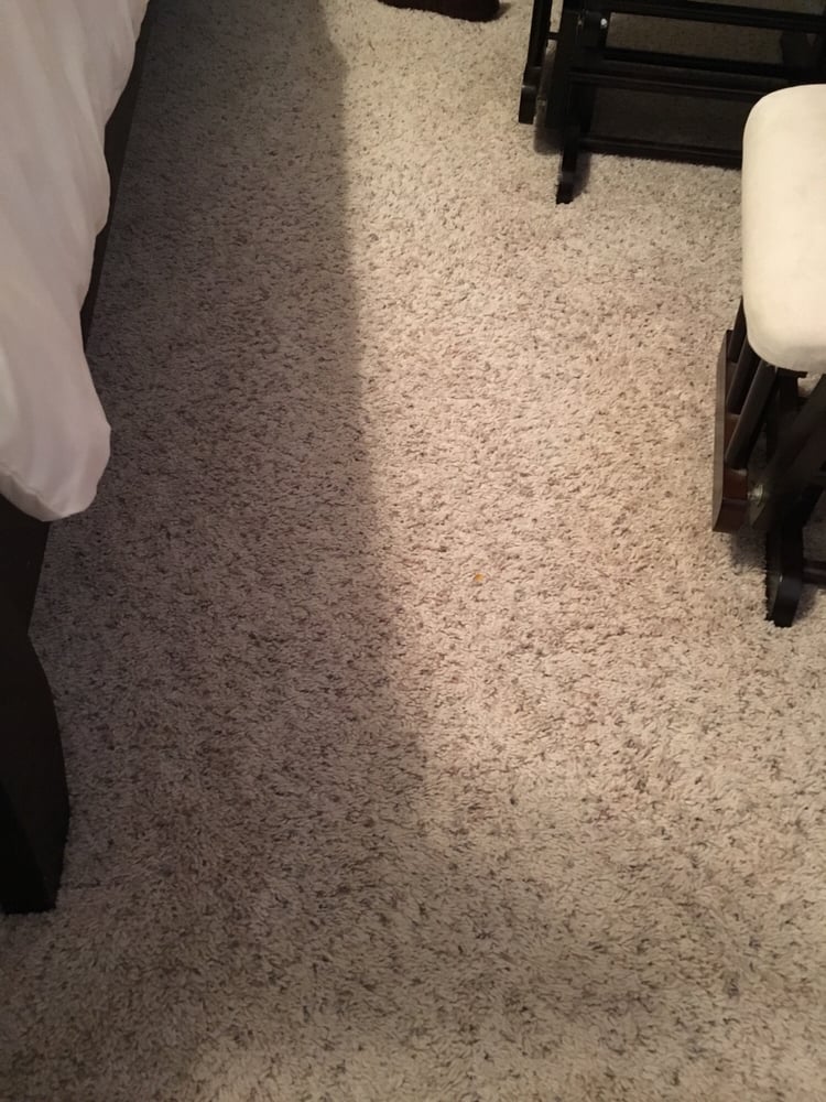 Photo of Fantastic Carpet Cleaning