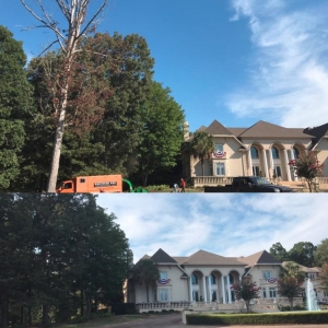 Photo of Southern Oak Viewscapes