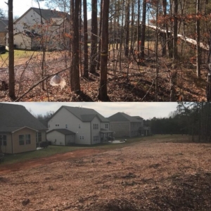 Photo of Southern Oak Viewscapes